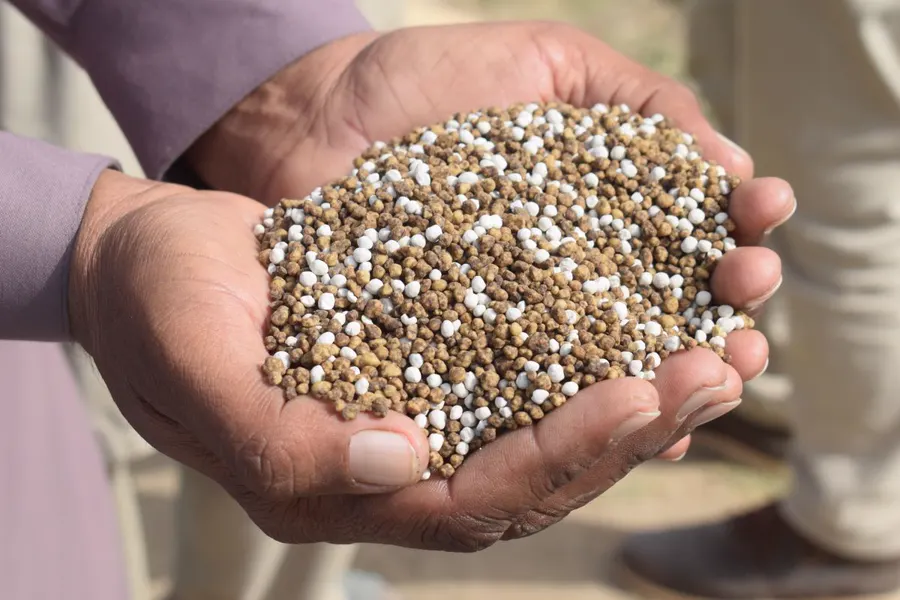Hands holding granular fertilizer